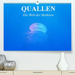 Kalender Quallen. Die Welt der Medusen (Premium, hochwertiger DIN A2 Wandkalender 2022, Kunstdruck in Hochglanz) von Elisabeth Stanzer