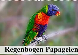 Kalender Regenbogen Papageien (Wandkalender 2022 DIN A2 quer) von Elisabeth Stanzer