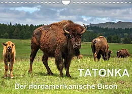 Kalender TATONKA Der nordamerikanische Bison (Wandkalender 2022 DIN A4 quer) von Dieter-M. Wilczek
