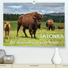 Kalender TATONKA Der nordamerikanische Bison (Premium, hochwertiger DIN A2 Wandkalender 2022, Kunstdruck in Hochglanz) von Dieter-M. Wilczek