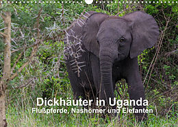 Kalender Dickhäuter in Uganda - Flußpferde, Nashörner und Elefanten (Wandkalender 2022 DIN A3 quer) von Dr. Helmut Gulbins