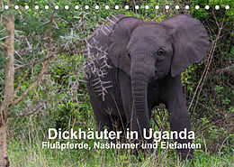 Kalender Dickhäuter in Uganda - Flußpferde, Nashörner und Elefanten (Tischkalender 2022 DIN A5 quer) von Dr. Helmut Gulbins
