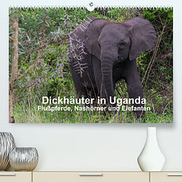 Kalender Dickhäuter in Uganda - Flußpferde, Nashörner und Elefanten (Premium, hochwertiger DIN A2 Wandkalender 2022, Kunstdruck in Hochglanz) von Dr. Helmut Gulbins