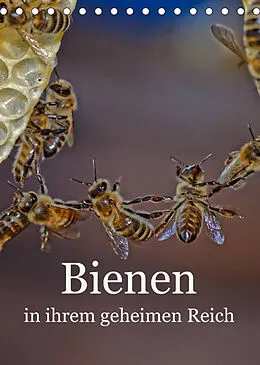 Kalender Bienen in ihrem geheimen Reich (Tischkalender 2022 DIN A5 hoch) von Mark Bangert