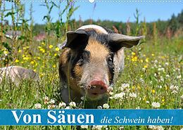 Kalender Von Säuen die Schwein haben! (Wandkalender 2022 DIN A2 quer) von Elisabeth Stanzer