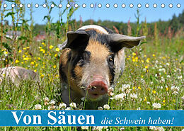 Kalender Von Säuen die Schwein haben! (Tischkalender 2022 DIN A5 quer) von Elisabeth Stanzer