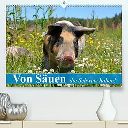 Kalender Von Säuen die Schwein haben! (Premium, hochwertiger DIN A2 Wandkalender 2022, Kunstdruck in Hochglanz) von Elisabeth Stanzer