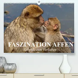 Kalender Faszination Affen. Kobolde zum Verlieben (Premium, hochwertiger DIN A2 Wandkalender 2022, Kunstdruck in Hochglanz) von Elisabeth Stanzer