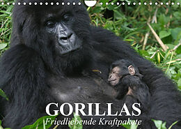Kalender Gorillas. Friedliebende Kraftpakete (Wandkalender 2022 DIN A4 quer) von Elisabeth Stanzer