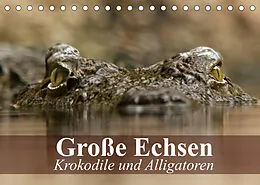 Kalender Große Echsen. Krokodile und Alligatoren (Tischkalender 2022 DIN A5 quer) von Elisabeth Stanzer