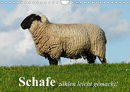 Kalender Schafe zählen leicht gemacht! (Wandkalender 2022 DIN A4 quer) von Elisabeth Stanzer