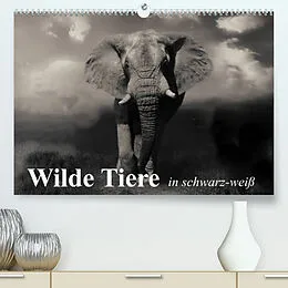 Kalender Wilde Tiere in schwarz-weiß (Premium, hochwertiger DIN A2 Wandkalender 2022, Kunstdruck in Hochglanz) von Elisabeth Stanzer