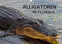 Kalender ALLIGATOREN in Florida (Wandkalender 2022 DIN A3 quer) von Dieter-M. Wilczek