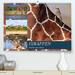 Kalender Giraffen - Sanftheit und Anmut (Premium, hochwertiger DIN A2 Wandkalender 2022, Kunstdruck in Hochglanz) von Michael Herzog