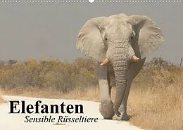 Kalender Elefanten. Sensible Rüsseltiere (Wandkalender 2022 DIN A2 quer) von Elisabeth Stanzer