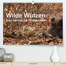 Kalender Wilde Wutzen. Das heimische Wildschwein (Premium, hochwertiger DIN A2 Wandkalender 2022, Kunstdruck in Hochglanz) von Alexander von Düren