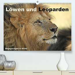 Kalender Löwen und Leoparden - Begegnungen in Afrika (Premium, hochwertiger DIN A2 Wandkalender 2022, Kunstdruck in Hochglanz) von Michael Herzog