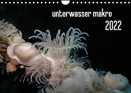 Kalender unterwasser makro 2022 (Wandkalender 2022 DIN A4 quer) von Claudia Weber-Gebert