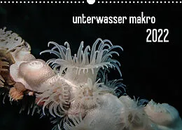 Kalender unterwasser makro 2022 (Wandkalender 2022 DIN A3 quer) von Claudia Weber-Gebert