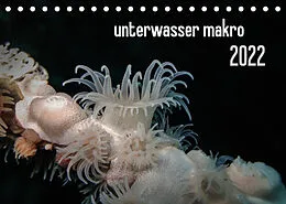 Kalender unterwasser makro 2022 (Tischkalender 2022 DIN A5 quer) von Claudia Weber-Gebert