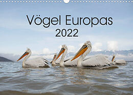Kalender Vögel Europas 2022 (Wandkalender 2022 DIN A3 quer) von Hans Schröder