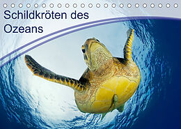 Kalender Schildkröten des Ozeans (Tischkalender 2022 DIN A5 quer) von Henry Jager
