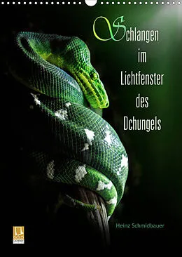 Kalender Schlangen im Lichtfenster des Dschungels (Wandkalender 2022 DIN A3 hoch) von Heinz Schmidbauer