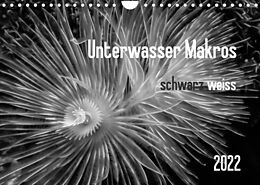 Kalender Unterwasser Makros - schwarz weiss 2022 (Wandkalender 2022 DIN A4 quer) von Claudia Weber-Gebert