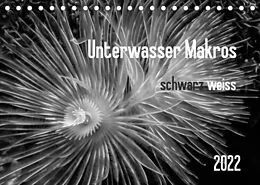 Kalender Unterwasser Makros - schwarz weiss 2022 (Tischkalender 2022 DIN A5 quer) von Claudia Weber-Gebert