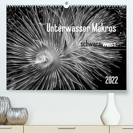 Kalender Unterwasser Makros - schwarz weiss 2022 (Premium, hochwertiger DIN A2 Wandkalender 2022, Kunstdruck in Hochglanz) von Claudia Weber-Gebert