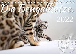 Kalender Die Bengalkatze. Edition Jungtiere (Tischkalender 2022 DIN A5 quer) von Sylvio Banker