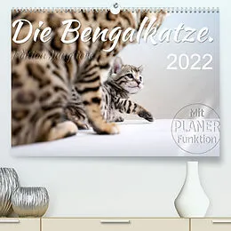 Kalender Die Bengalkatze. Edition Jungtiere (Premium, hochwertiger DIN A2 Wandkalender 2022, Kunstdruck in Hochglanz) von Sylvio Banker