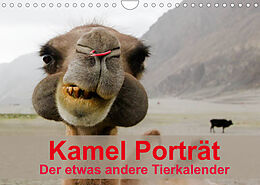 Kalender Kamel Porträt (Wandkalender 2022 DIN A4 quer) von Sven Gruse