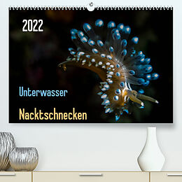 Kalender Unterwasser - Nacktschnecken 2022 (Premium, hochwertiger DIN A2 Wandkalender 2022, Kunstdruck in Hochglanz) von Claudia Weber-Gebert