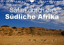 Kalender Safari durch das Südliche Afrika (Wandkalender 2022 DIN A4 quer) von Stefan Schütter
