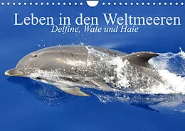 Kalender Leben in den Weltmeeren. Delfine, Wale und Haie (Wandkalender 2022 DIN A4 quer) von Elisabeth Stanzer