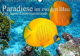 Kalender Paradiese im ewigen Blau. Die bunte Unterwasserwelt (Wandkalender 2022 DIN A3 quer) von Elisabeth Stanzer