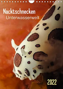 Kalender Nacktschnecken - Unterwasserwelt 2022 (Wandkalender 2022 DIN A4 hoch) von Claudia Weber-Gebert