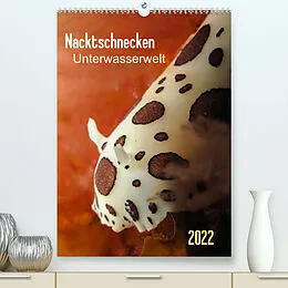 Kalender Nacktschnecken - Unterwasserwelt 2022 (Premium, hochwertiger DIN A2 Wandkalender 2022, Kunstdruck in Hochglanz) von Claudia Weber-Gebert