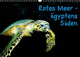 Kalender Rotes Meer - Ägyptens Süden (Wandkalender 2022 DIN A3 quer) von Christian Suttrop