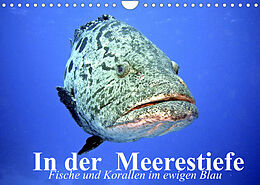 Kalender In der Meerestiefe. Fische und Korallen im ewigen Blau (Wandkalender 2022 DIN A4 quer) von Elisabeth Stanzer