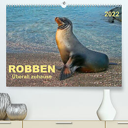 Kalender Robben - überall zuhause (Premium, hochwertiger DIN A2 Wandkalender 2022, Kunstdruck in Hochglanz) von Peter Roder