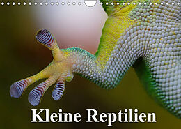 Kalender Kleine Reptilien (Wandkalender 2022 DIN A4 quer) von Elisabeth Stanzer