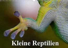 Kalender Kleine Reptilien (Wandkalender 2022 DIN A3 quer) von Elisabeth Stanzer