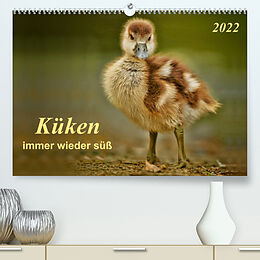 Kalender Küken - immer wieder süß (Premium, hochwertiger DIN A2 Wandkalender 2022, Kunstdruck in Hochglanz) von Peter Roder