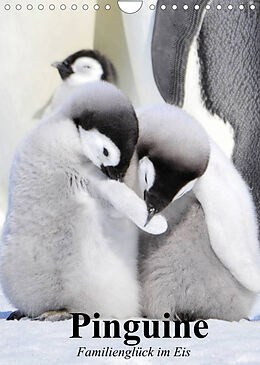 Kalender Pinguine. Familienglück im Eis (Wandkalender 2022 DIN A4 hoch) von Elisabeth Stanzer