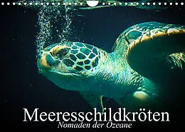 Kalender Meeresschildkröten. Nomaden der Ozeane (Wandkalender 2022 DIN A4 quer) von Elisabeth Stanzer
