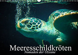 Kalender Meeresschildkröten. Nomaden der Ozeane (Wandkalender 2022 DIN A3 quer) von Elisabeth Stanzer