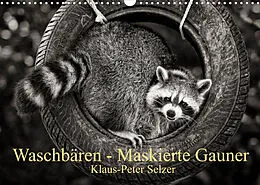 Kalender Waschbären - Maskierte Gauner (Wandkalender 2022 DIN A3 quer) von Klaus-Peter Selzer