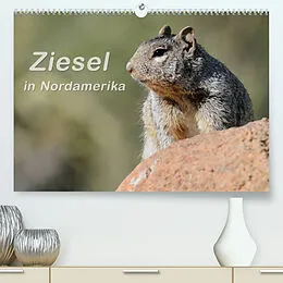 Kalender Ziesel in Nordamerika (Premium, hochwertiger DIN A2 Wandkalender 2022, Kunstdruck in Hochglanz) von Dieter-M. Wilczek